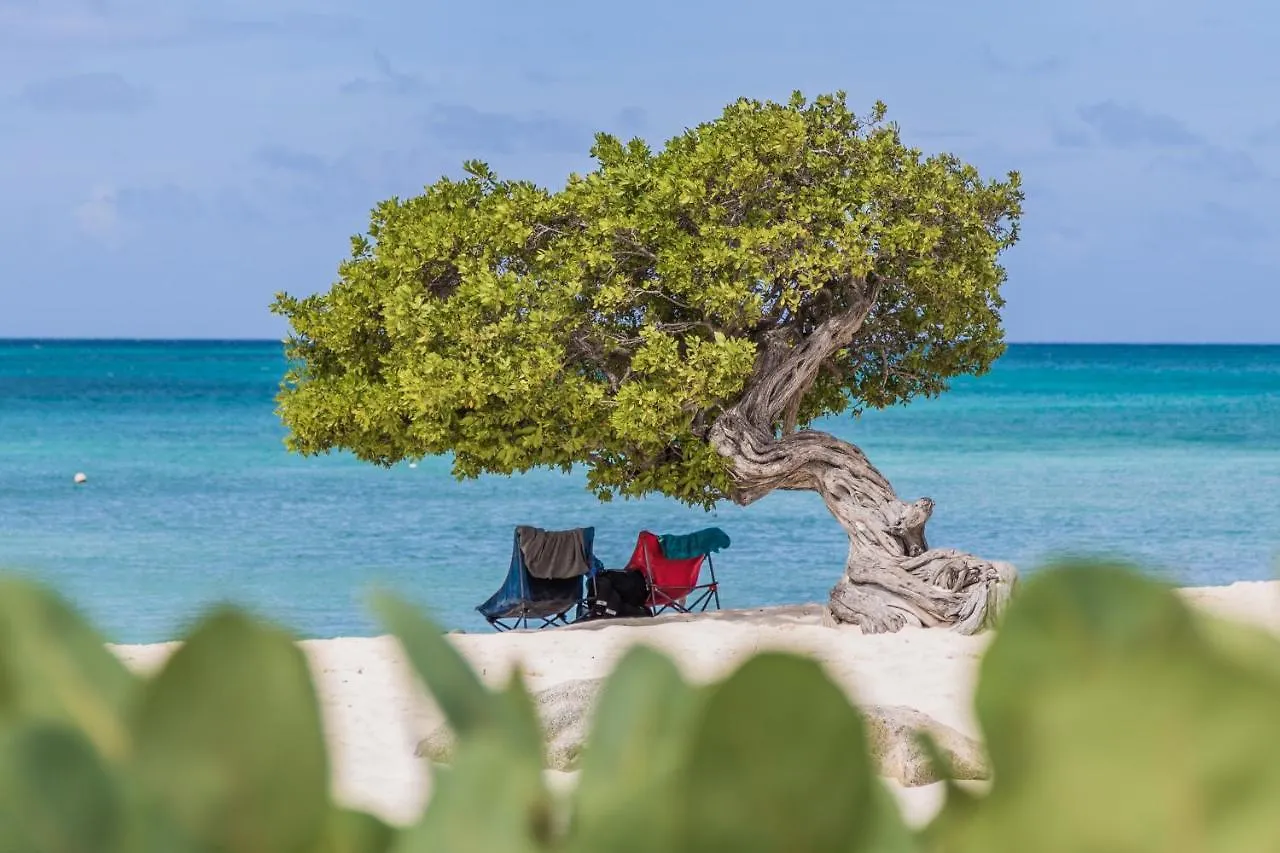 Studio With Harbor View Near Where U Want To Be Oranjestad