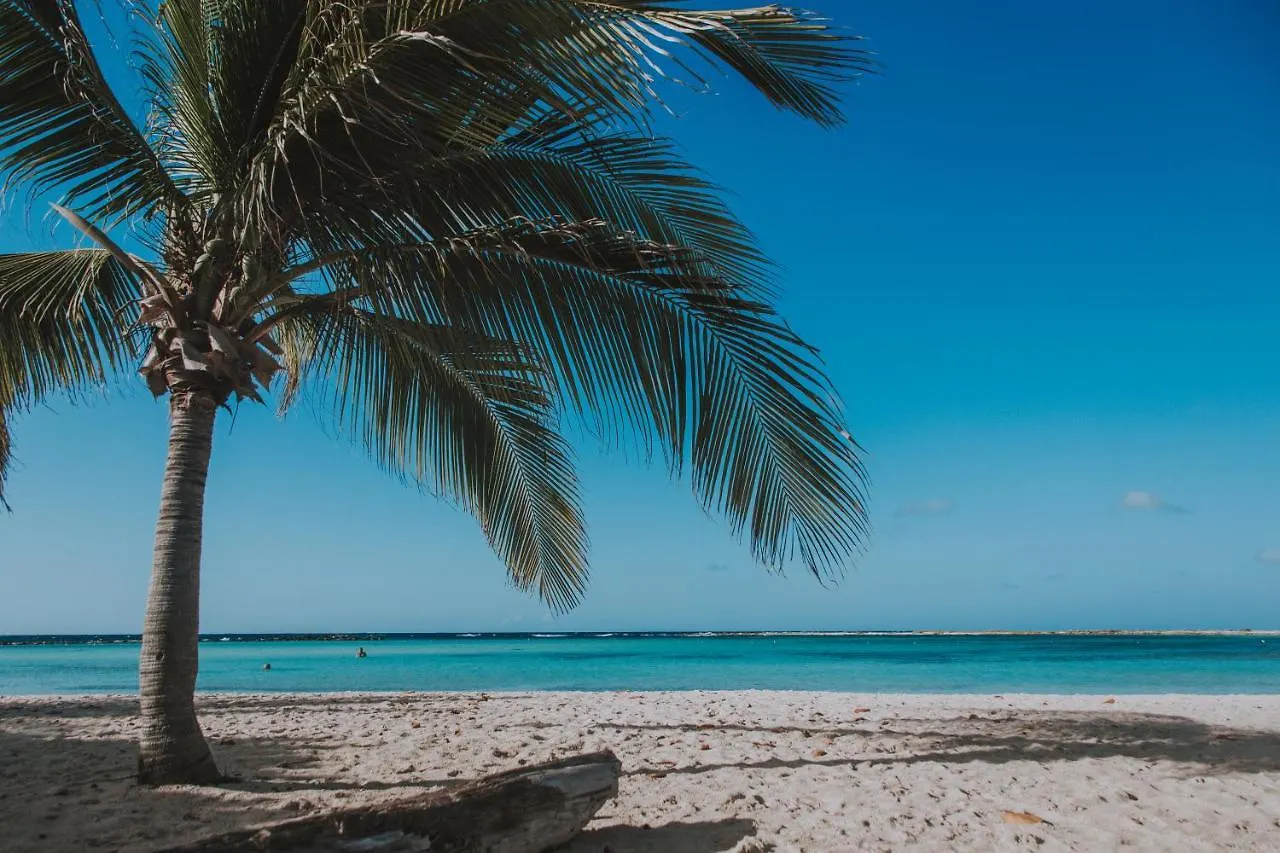 Apartament Studio With Harbor View Near Where U Want To Be Oranjestad Aruba